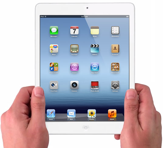     Apple iPad mini ()